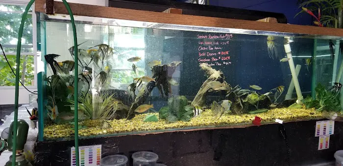 AquaScapeOnline Picture 2
