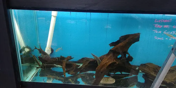 AquaScapeOnline Picture 4