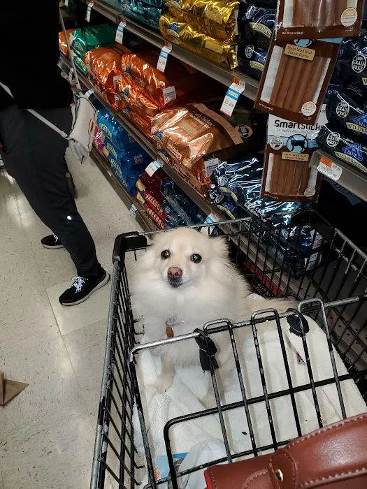 Petco Picture 9
