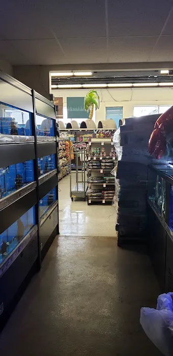 Petco Picture 6