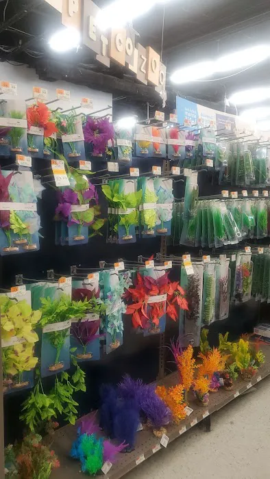 Petco Picture 4