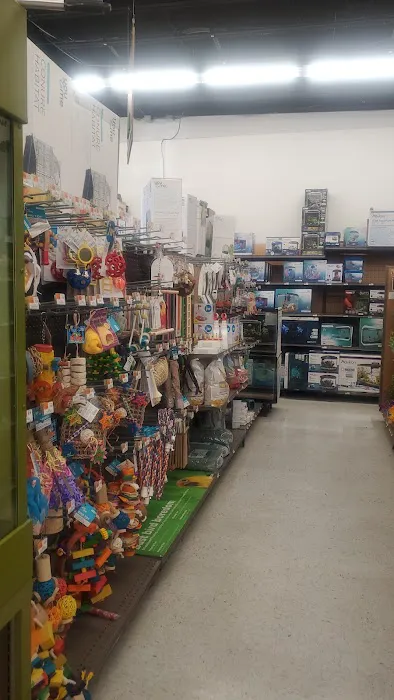 Petco Picture 5