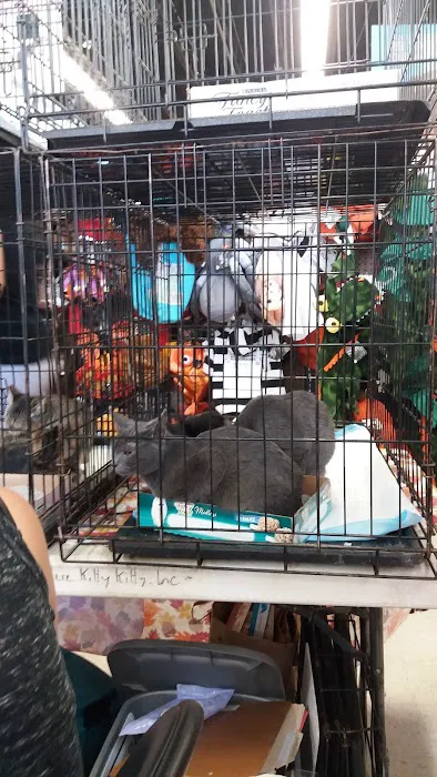Petco Picture 8