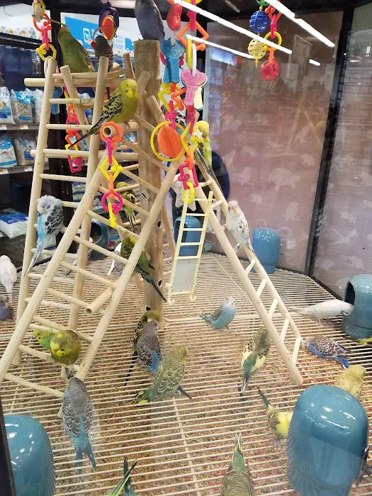 Petco Picture 3