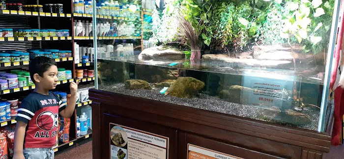 Absolutely Fish Picture 3