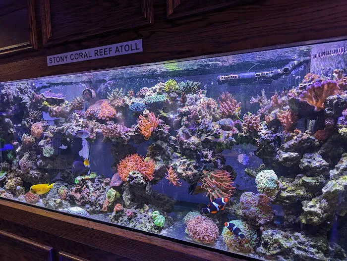 Absolutely Fish Picture 6