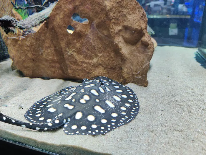 Absolutely Fish Picture 1