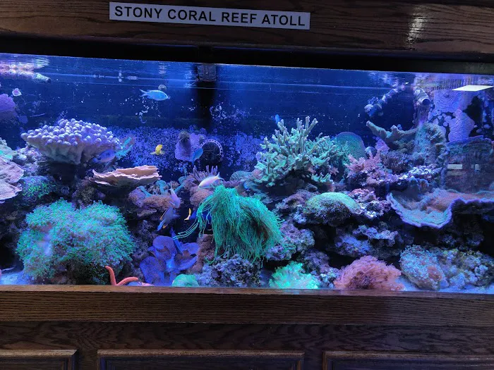 Absolutely Fish Picture 8