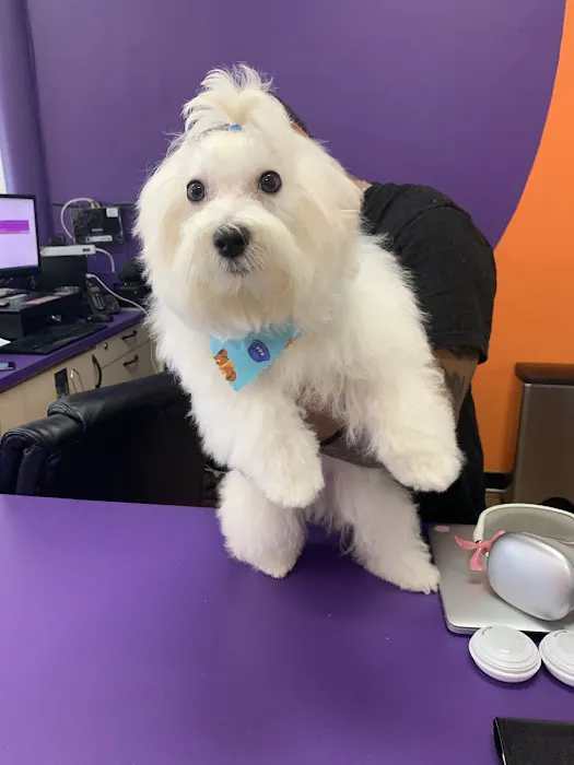 Pet Crew Pet Shop Picture 1