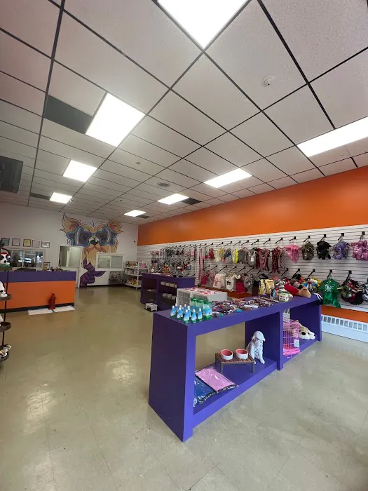 Pet Crew Pet Shop Picture 5