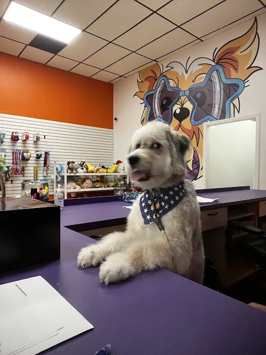 Pet Crew Pet Shop Picture 7