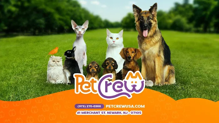 Pet Crew Pet Shop Picture 10