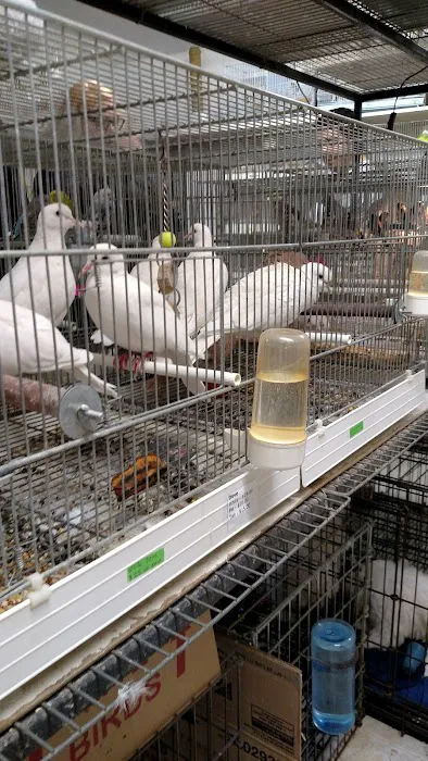 Ironbound Pet Shop Picture 5