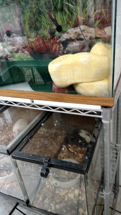 Ironbound Pet Shop Picture 6
