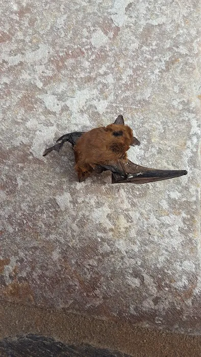 Animal Hospital of Temecula Picture 2