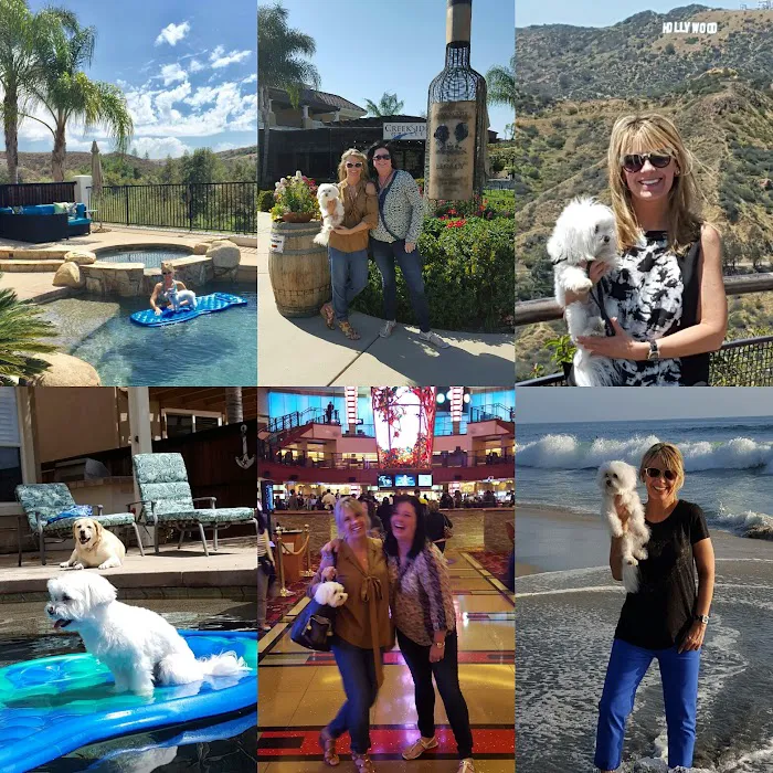 Animal Hospital of Temecula Picture 4