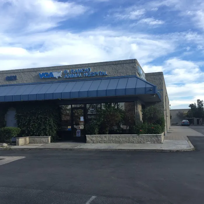 VCA El Rancho Animal Hospital Picture 2