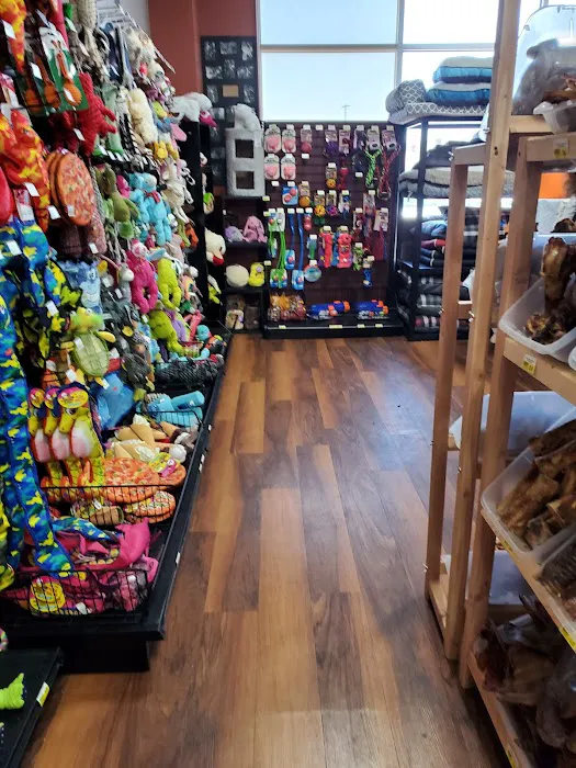 Whole Pets Market Picture 1