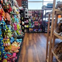 Whole Pets Market ico