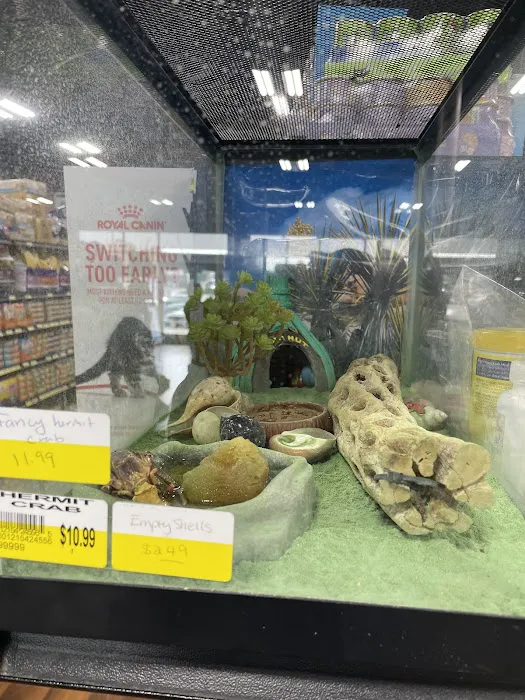 Whole Pets Market Picture 8