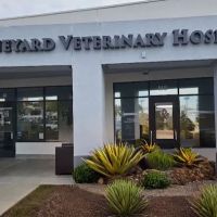 Vineyard Veterinary Hospital ico