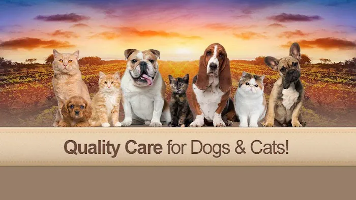 Vineyard Veterinary Hospital Picture 10