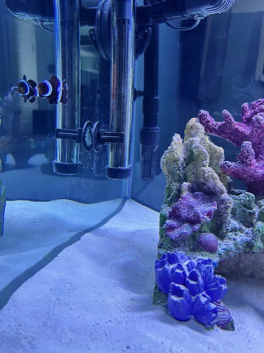 Fishtopia Picture 1
