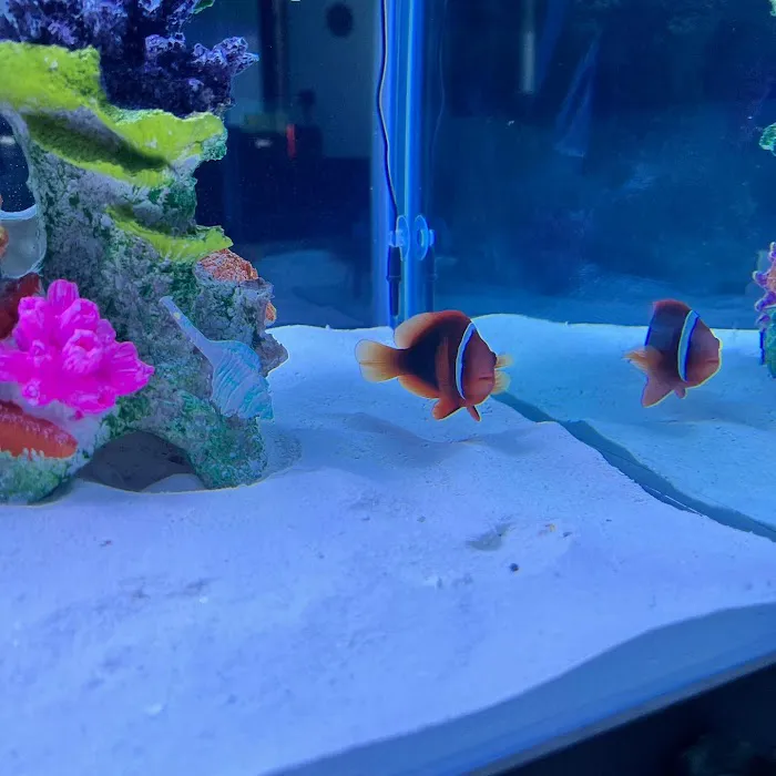 Fishtopia Picture 3