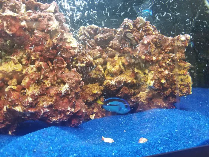 Fishtopia Picture 6