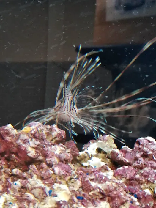 Fishtopia Picture 9