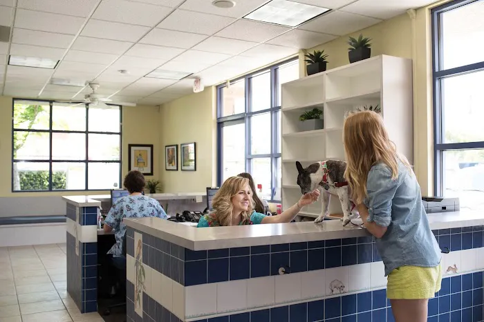 Care Animal Hospital Picture 2