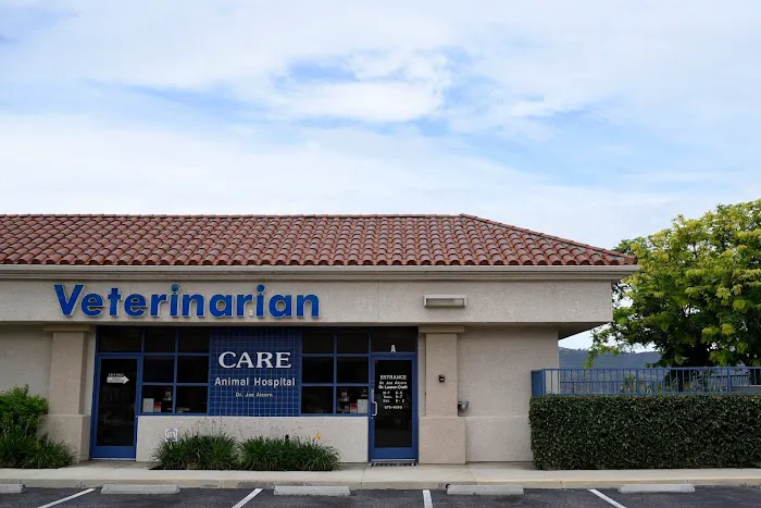 Care Animal Hospital Picture 8