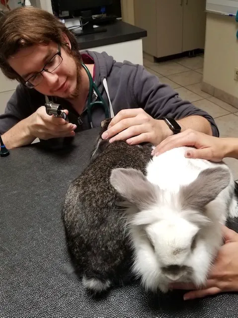 Care Animal Hospital Picture 7