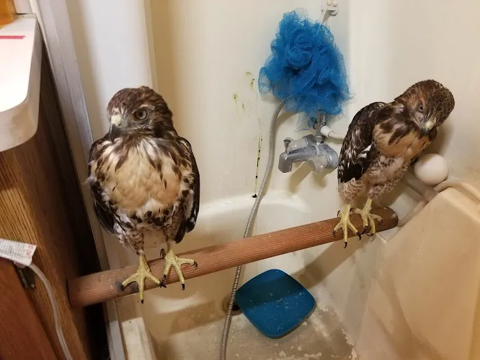 Care Animal Hospital Picture 6