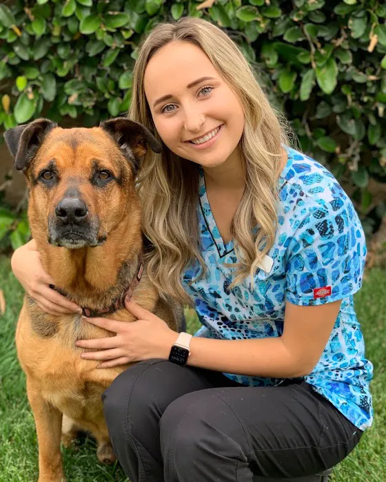 Care Animal Hospital Picture 10