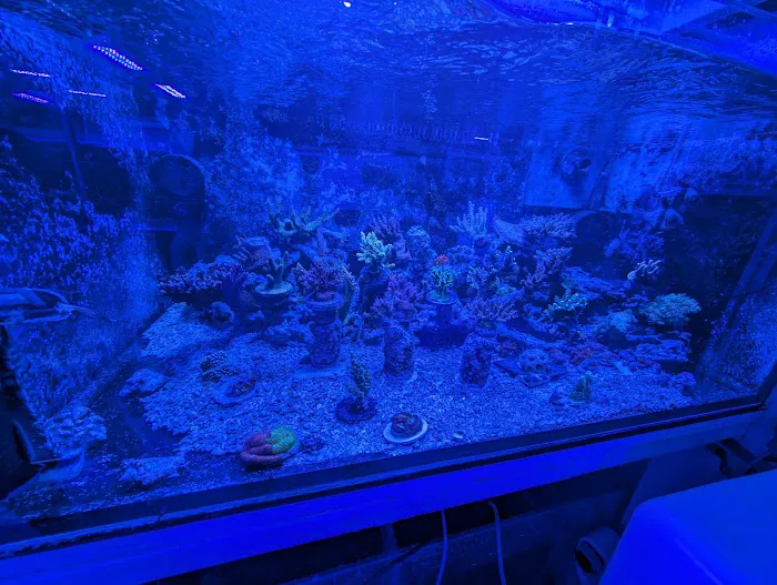 Pieces of the Ocean Picture 3