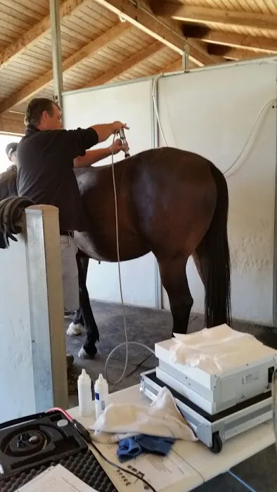 West Coast Equine Medicine Picture 5
