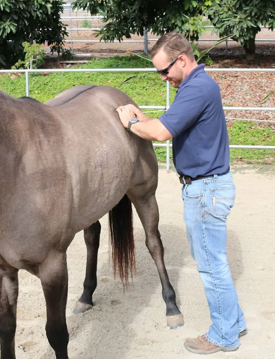West Coast Equine Medicine Picture 4