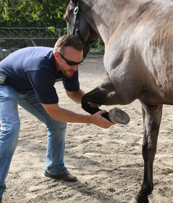 West Coast Equine Medicine Picture 8