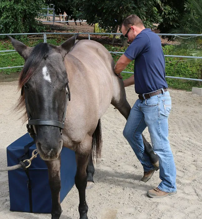 West Coast Equine Medicine Picture 7