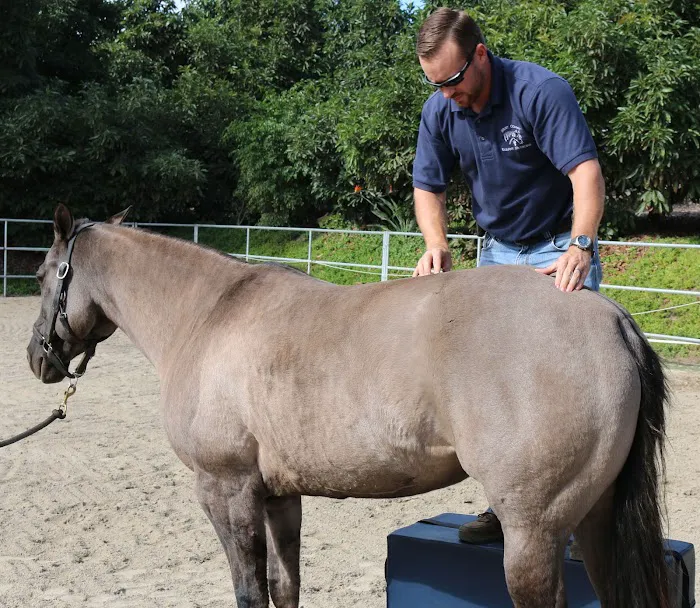 West Coast Equine Medicine Picture 10