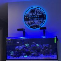 Jersey Corals ico
