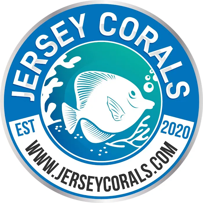 Jersey Corals Picture 9