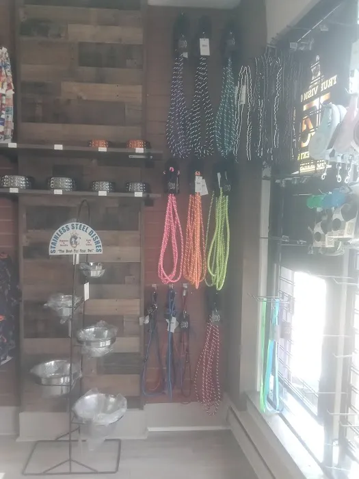 Bully Stop & Shop Pet supply Picture 3