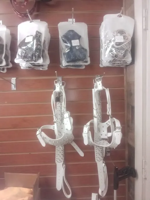 Bully Stop & Shop Pet supply Picture 1
