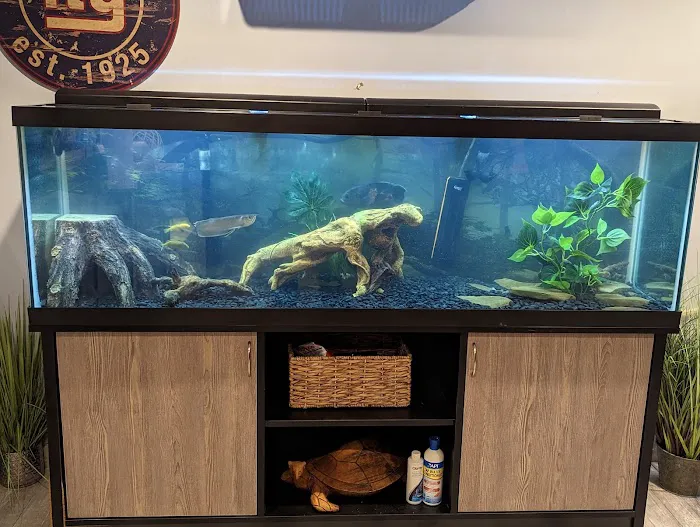 Reef Ryders Aquarium Service And Maintenance Picture 5
