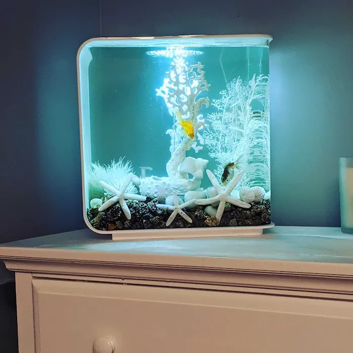 Reef Ryders Aquarium Service And Maintenance Picture 8