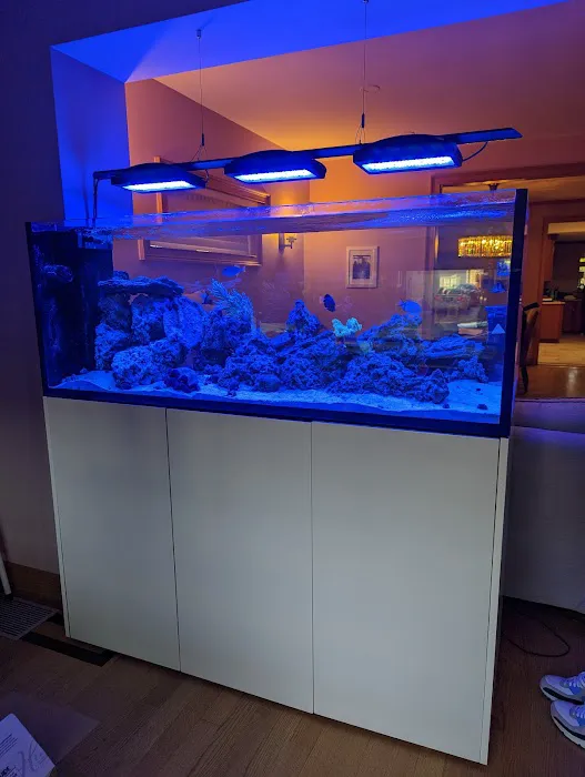 Reef Ryders Aquarium Service And Maintenance Picture 6