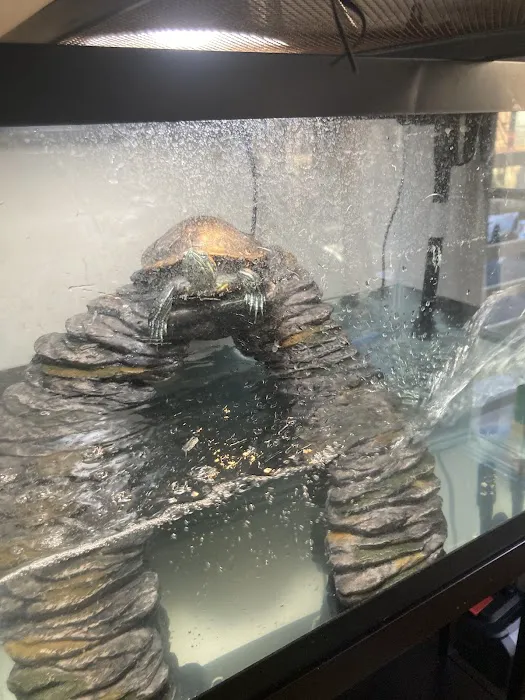 Reef Ryders Aquarium Service And Maintenance Picture 1