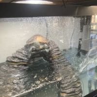 Reef Ryders Aquarium Service And Maintenance ico